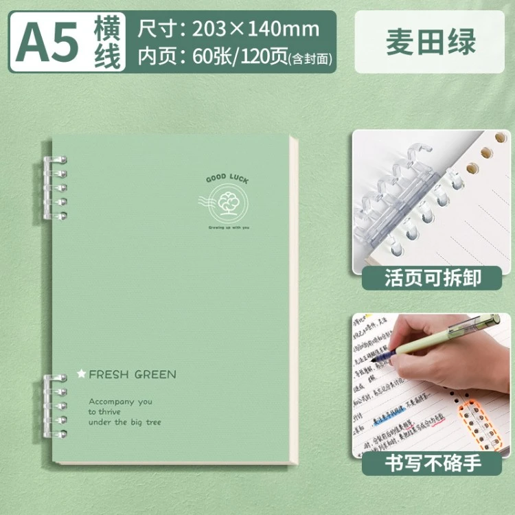 Loose-leaf notebook design 7
